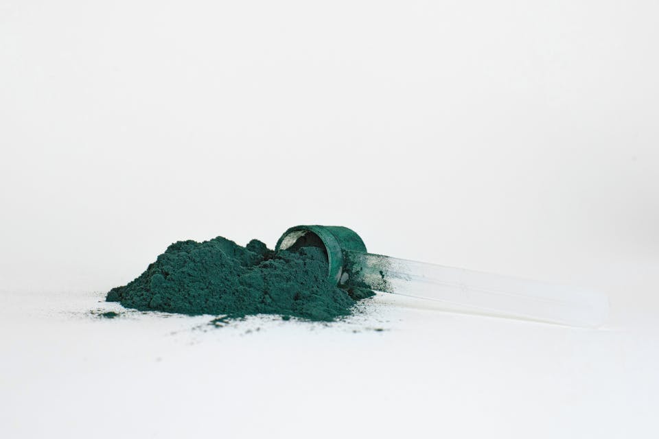 spiruline en poudre 2